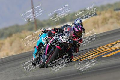 media/Feb-04-2023-SoCal Trackdays (Sat) [[8a776bf2c3]]/Turn 16 Set 2 (1125am)/